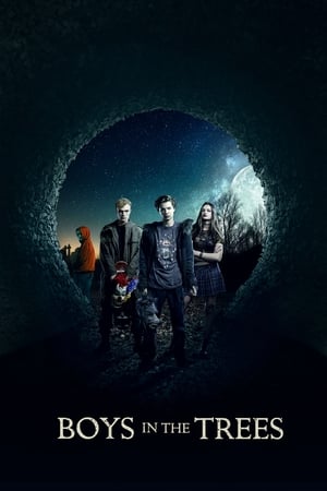 Boys in the Trees 2016 BRRip