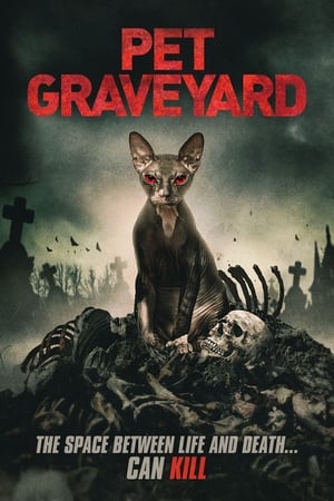 Pet Graveyard 2019 BRRip