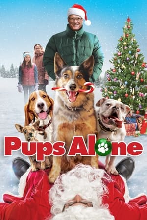 Pups Alone 2021 BRRip