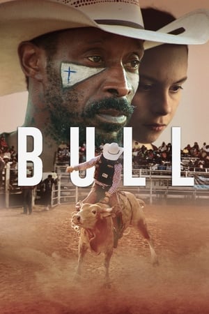 Bull 2020 BRRip
