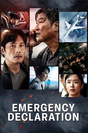Emergency Declaration 2021 Dual Audio