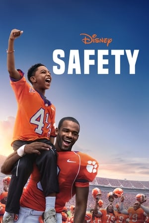 Safety 2020 BRRip