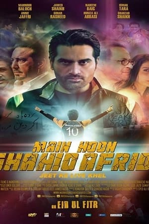 Main Hoon Shahid Afridi 2013 (Pakistani)