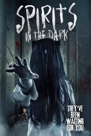 Spirits in the Dark 2020 BRRip