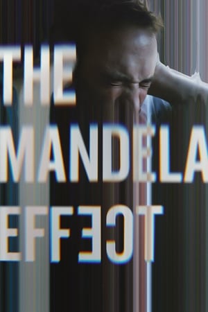 The Mandela Effect 2019 BRRip