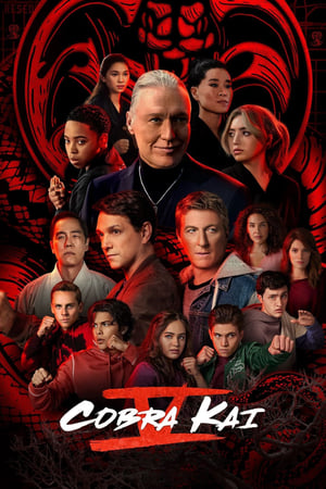 Cobra Kai 2022 S05 Hindi Dual Audio