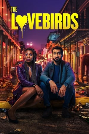 The Lovebirds 2020 BRRip