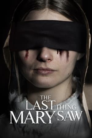The Last Thing Mary Saw 2021 BRRip