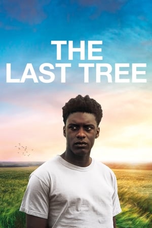 The Last Tree 2019 BRRip