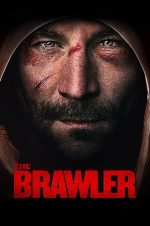 The Brawler 2019 BRRip