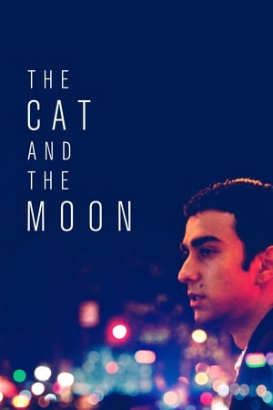 The Cat and the Moon 2019 BRRIp