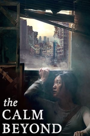 The Calm Beyond 2020 BRRip
