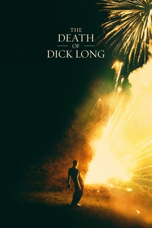 The Death of Dick Long 2019 BRRip