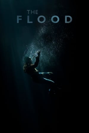 The Flood 2019 BRRip