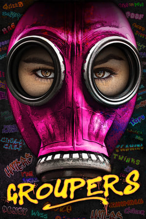 Groupers 2019 BRRIp