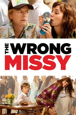 The Wrong Missy 2020 BRRIp