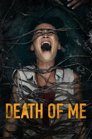 Death of Me 2020 Dual Audio 