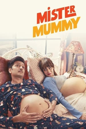 Mister Mummy 2022 BRRIp