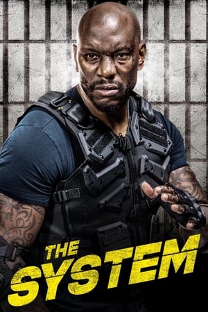 The System 2022 BRRip