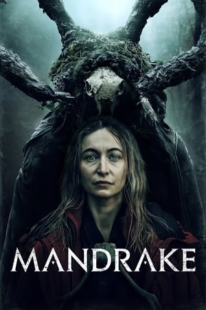 Mandrake 2022 BRRip