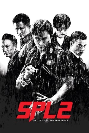SPL II: A Time for Consequences 2015 BRRip