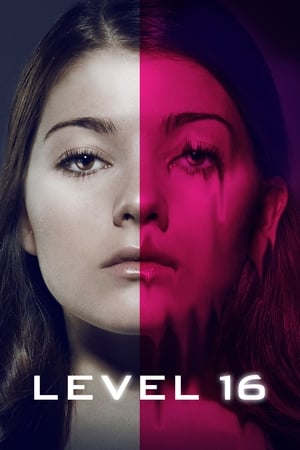 Level 16 2018 BRRip