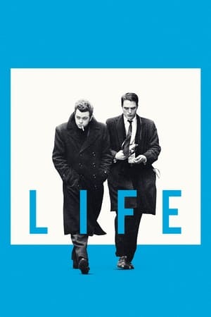 Life 2015 BRRip