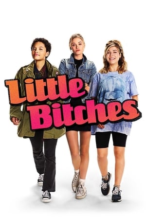 Little Bitches 2018 BRRIp