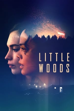 Little Woods 2018 BRRIp