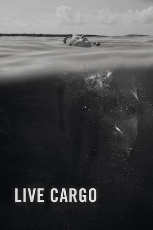 Live Cargo 2016 BRRip