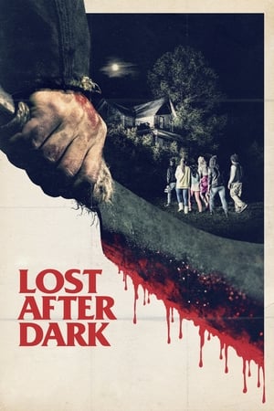 Lost After Dark 2014 BRRip