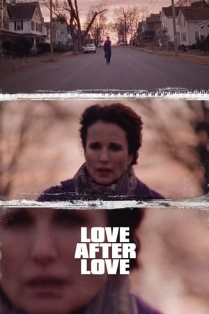 Love After Love 2018 BRRIp