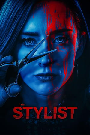 The Stylist 2020 BRRip