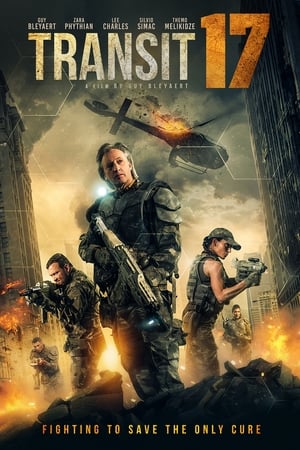 Transit 17 2019 BRRip