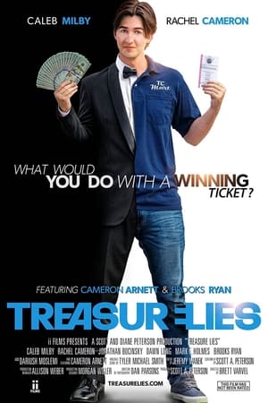 Treasure Lies 2020 BRRip