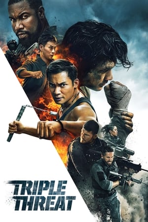 Triple Threat 2019 BRRip