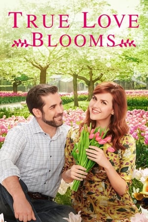 True Love Blooms 2019 BRRip