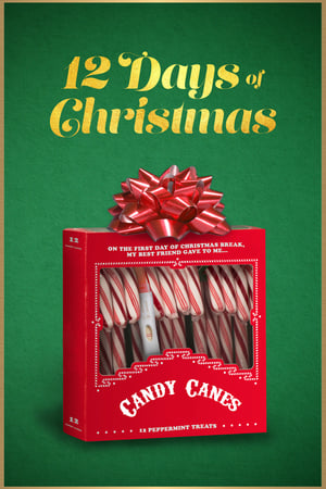 12 Days of Christmas 2020 BRRIp
