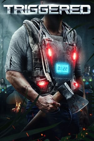 Triggered 2020 BRRip