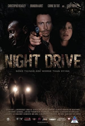 Night Drive 2018 BRRip
