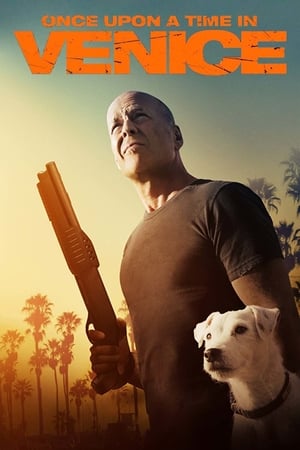 Once Upon a Time in Venice 2017 BRRip