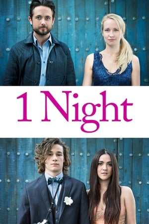1 Night 2016 BRRip