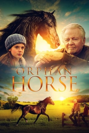 Orphan Horse 2018 BRRip