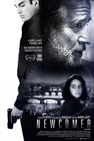 Newcomer 2015 BRRIp