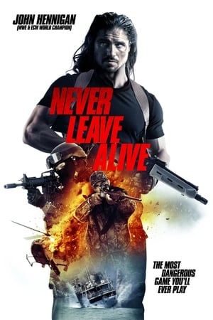 Never Leave Alive 2017 BRRIp