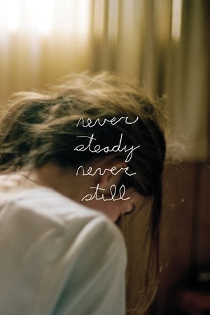 Never Steady, Never Still 2018 BRRip