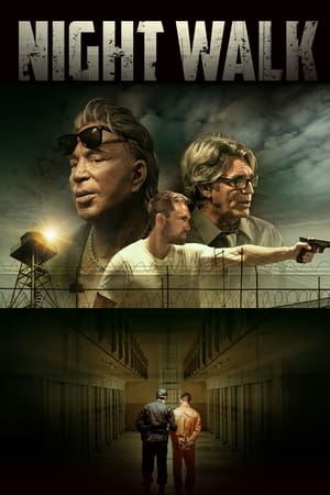 Night Walk 2019 BRRIp