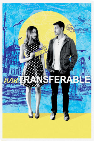 Non-Transferable 2017 BRRip