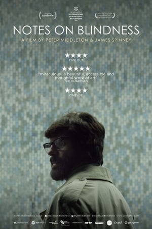 Notes on Blindness 2016 BRRIp