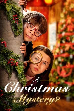 A Christmas Mystery 2022 BRRip